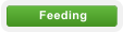 Feeding