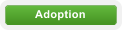 Adoption