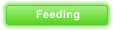 Feeding