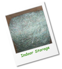 Indoor Storage