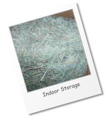 Indoor Storage