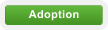 Adoption
