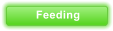 Feeding